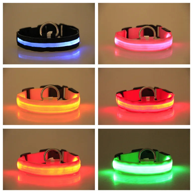 LED Nylon Dog Collar Night Safety Glow