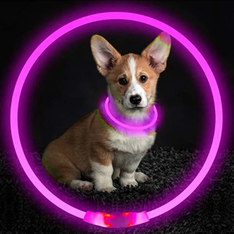 LED Rechargeable Glowing Pet Collar