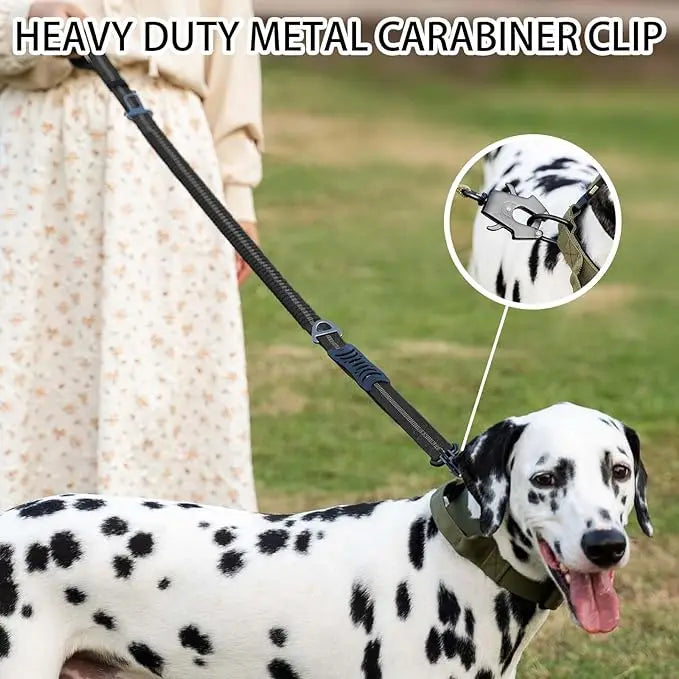 Reflective Shock-Absorbing Tactical Dog Leash