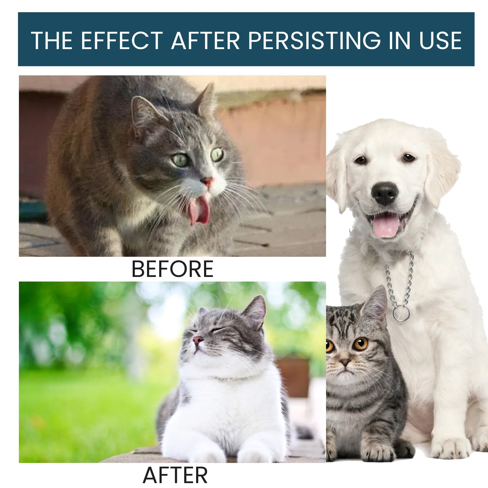 Dog Immunity & Digestive Health Drops