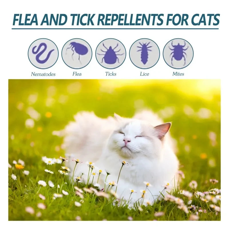 50ml Pet Anti-Flea & Tick Skin Cleaner