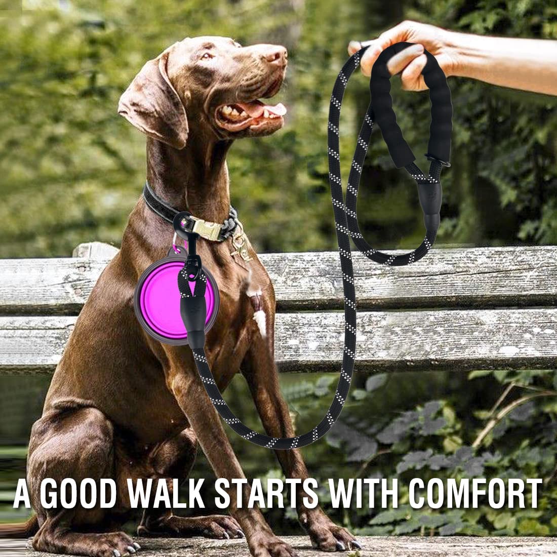 Strong Reflective Dog Leash for All Sizes