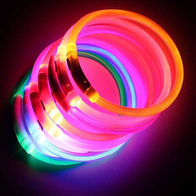 USB Rechargeable LED Pet Safety Collar