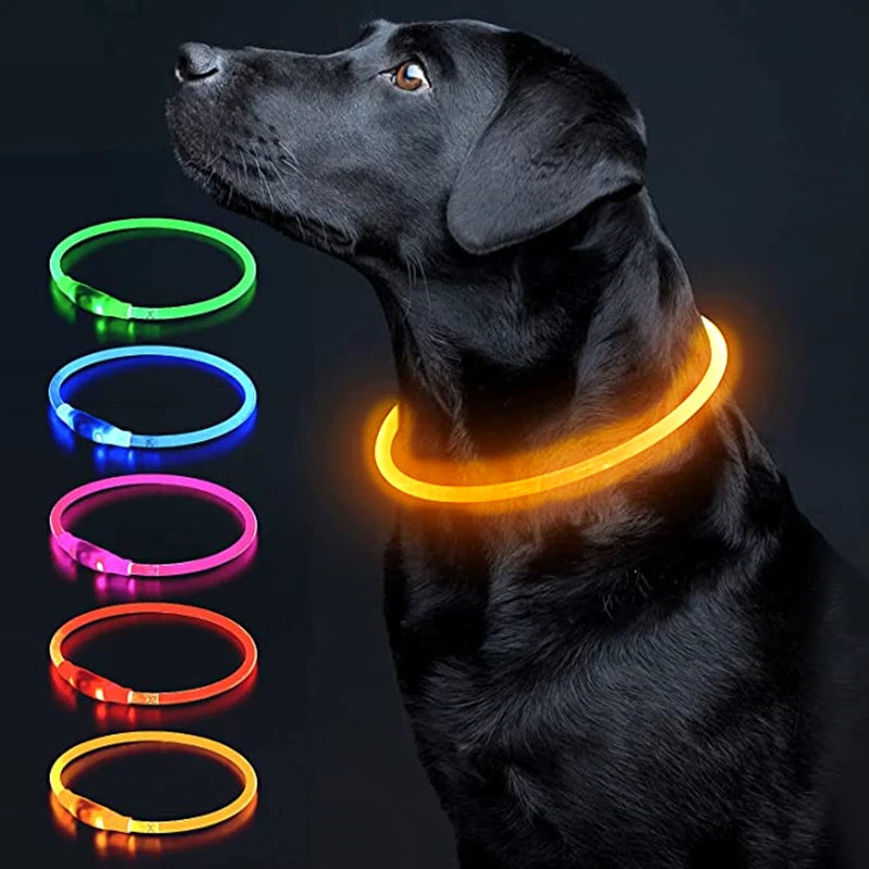 LED Rechargeable Glowing Pet Collar