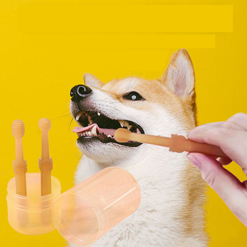 Silicone Soft Toothbrush & Teeth Whitening Kit