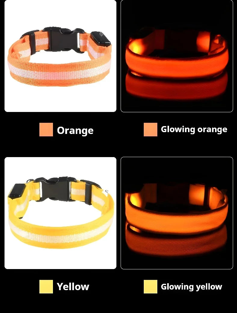 LED Nylon Dog Collar Night Safety Glow