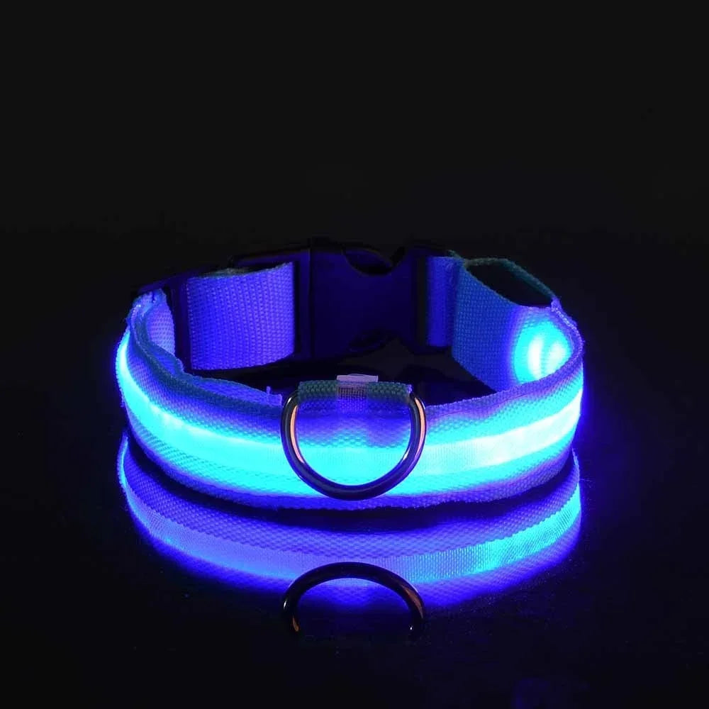 LED Nylon Dog Collar Night Safety Glow