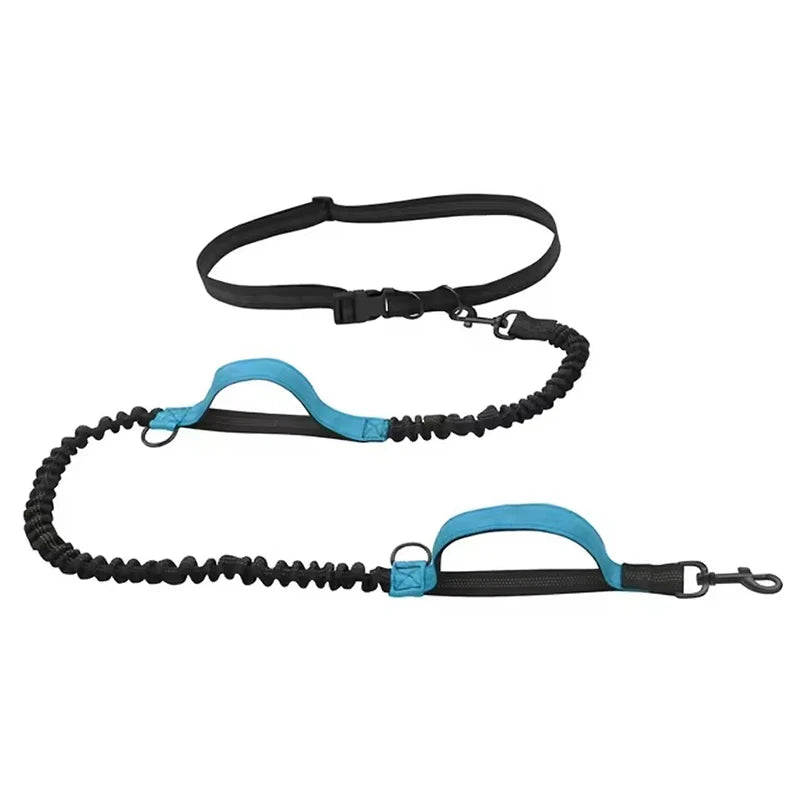 Outdoor Dual Elastic Reflective Dog Leash