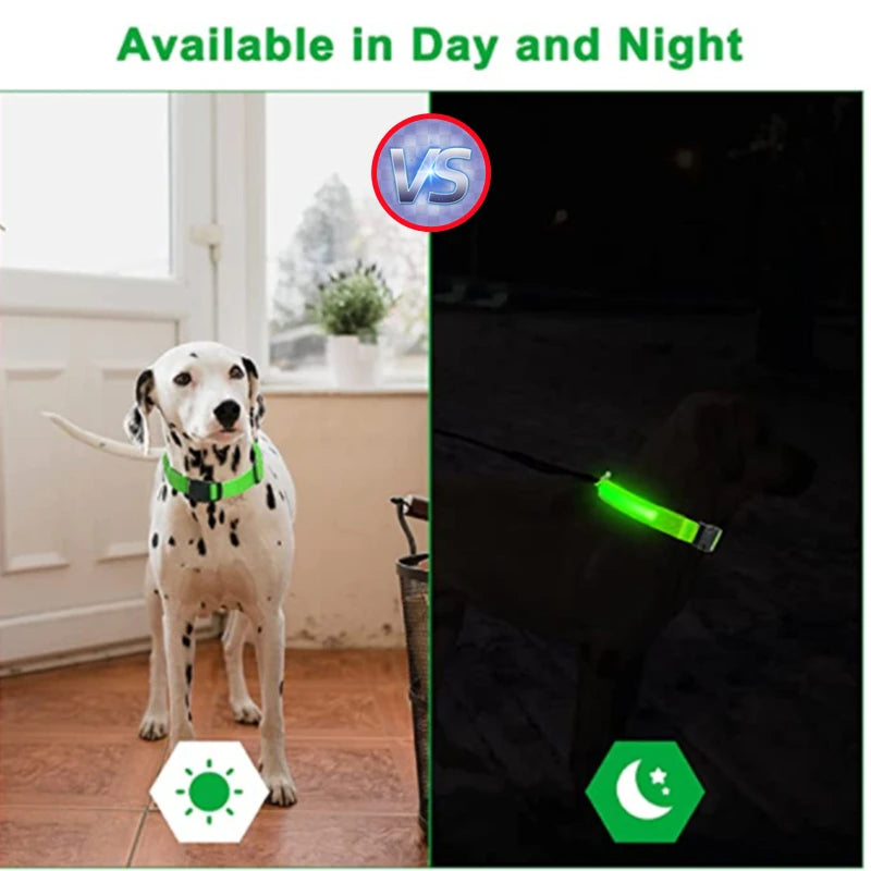 USB Rechargeable LED Pet Safety Collar