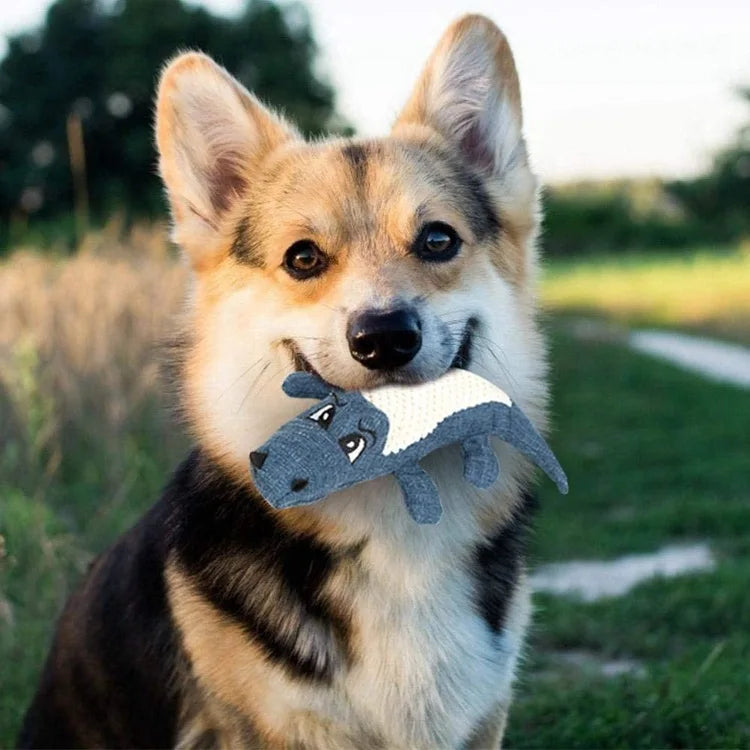 Plush Alligator Dog Chew Toy with Squeaker