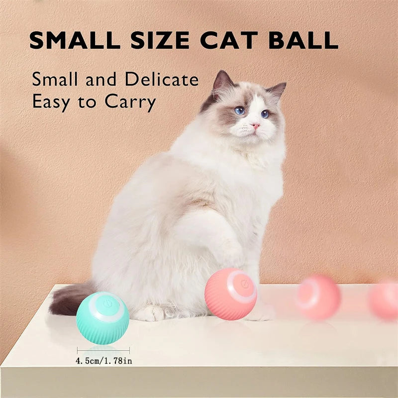 USB Rechargeable Interactive Smart Dog Ball