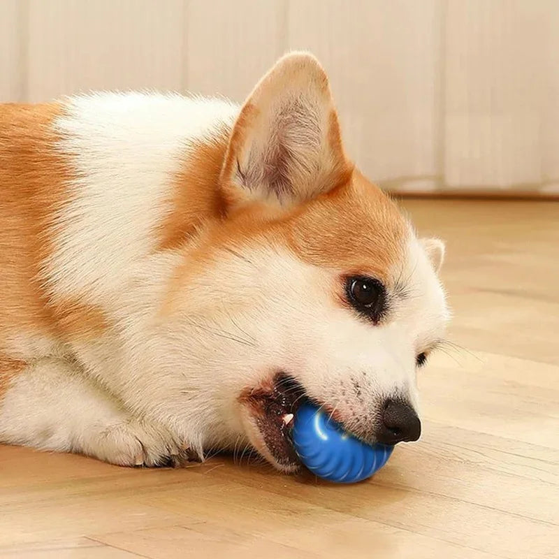 USB Rechargeable Interactive Smart Dog Ball