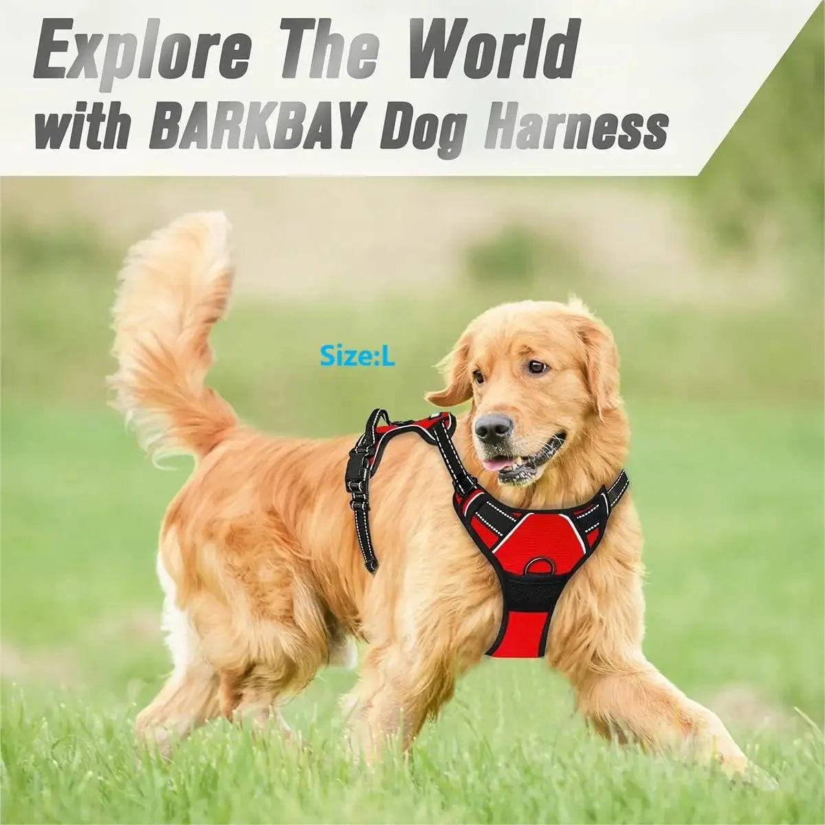 Dog Collar, Harness & Leash Set for Medium & Small Dogs