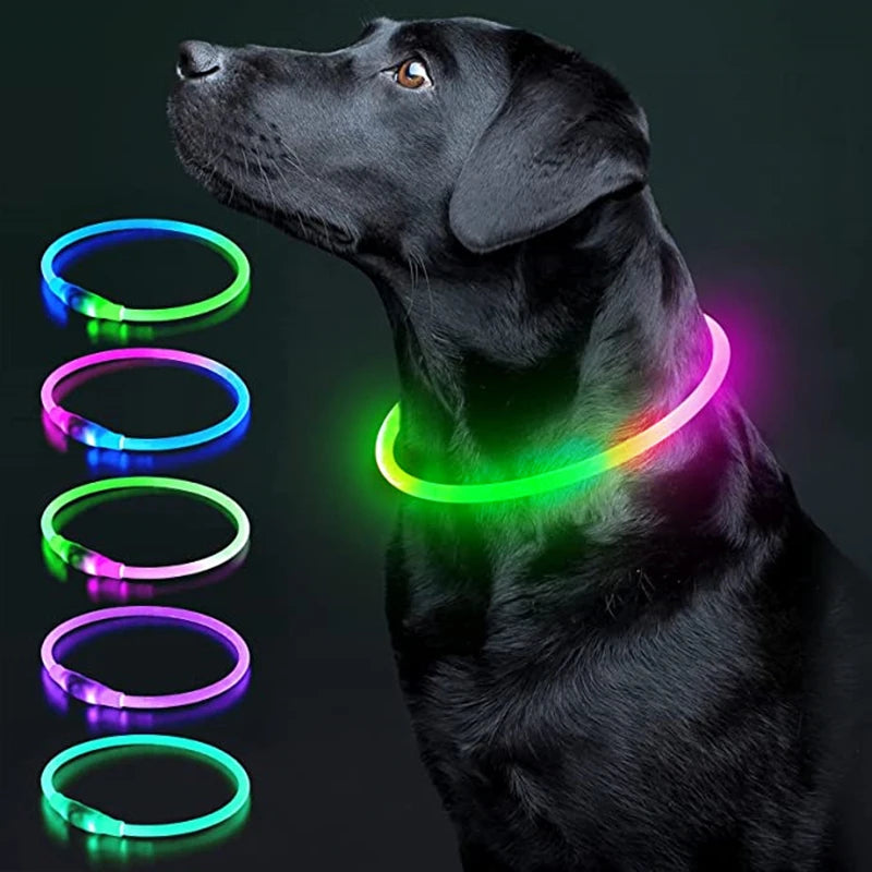USB Rechargeable LED Pet Safety Collar