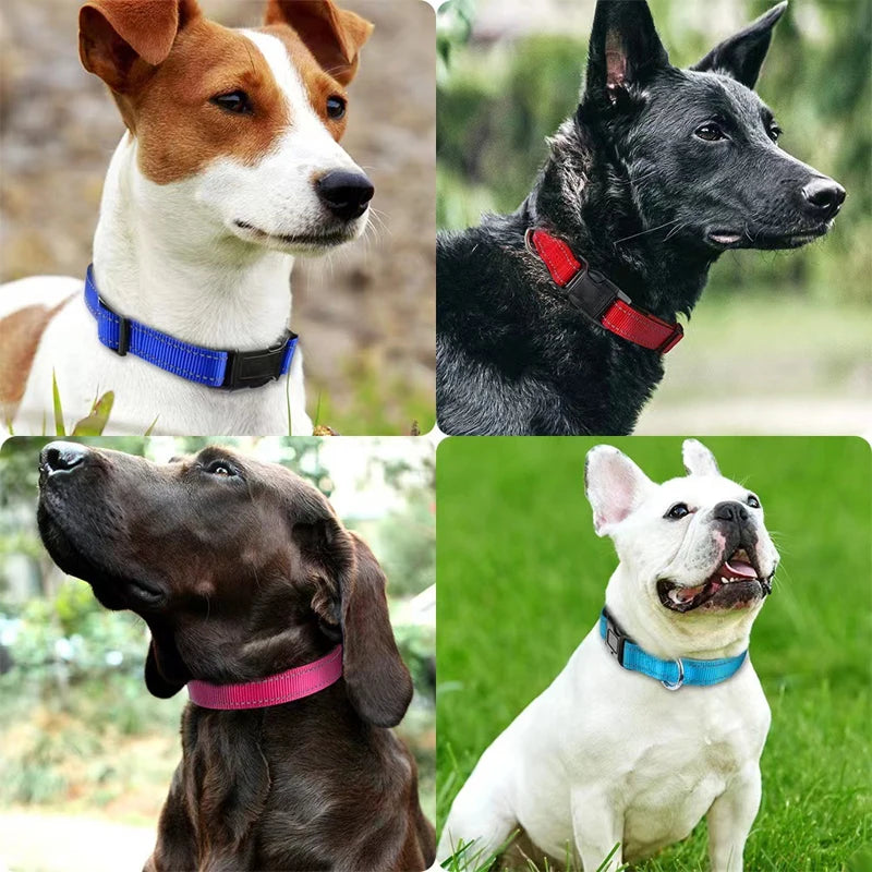 Reflective Neoprene Padded Dog Collar