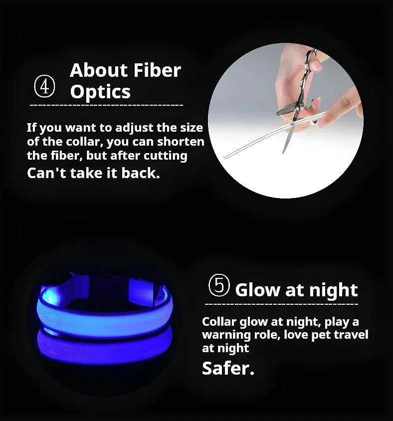 LED Nylon Dog Collar Night Safety Glow