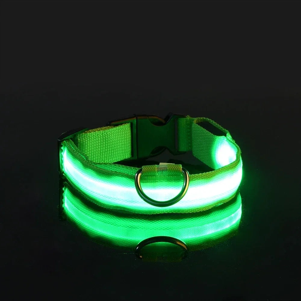 LED Nylon Dog Collar Night Safety Glow
