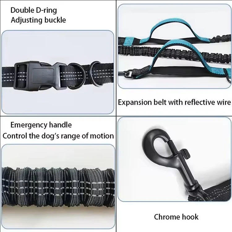 Outdoor Dual Elastic Reflective Dog Leash