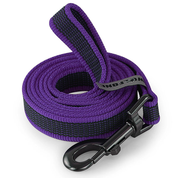 Dual-Color Latex Silk Dog Leash – Multiple Lengths