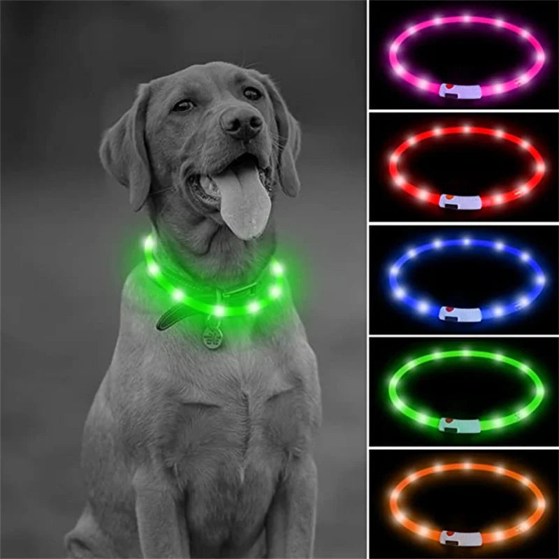 USB Rechargeable LED Pet Safety Collar