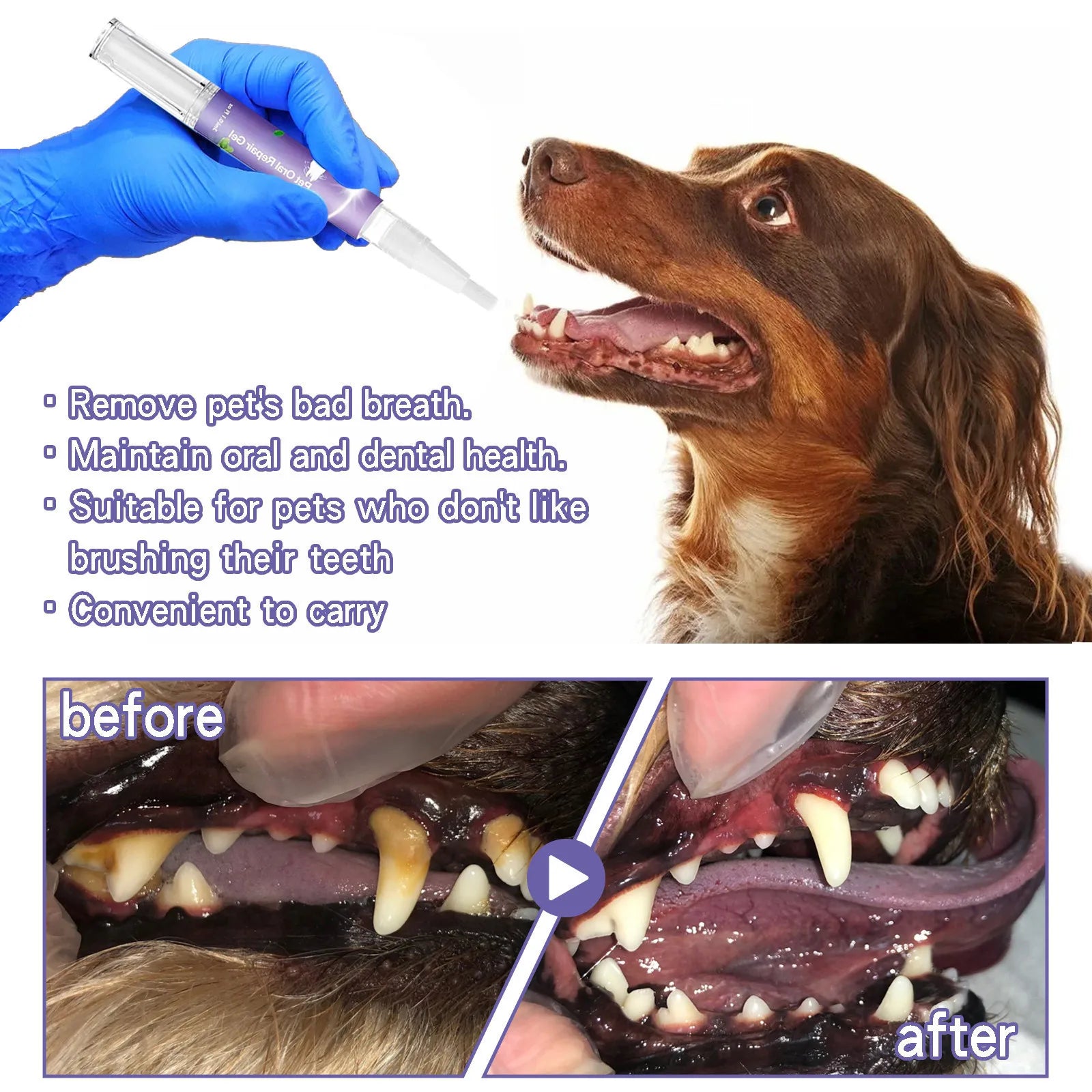3ml Pet Oral Gel for Teeth & Breath