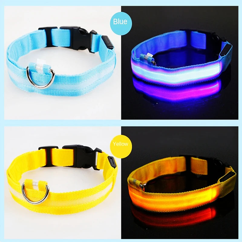 USB Rechargeable LED Pet Safety Collar