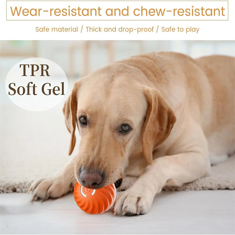 USB Rechargeable Interactive Smart Dog Ball