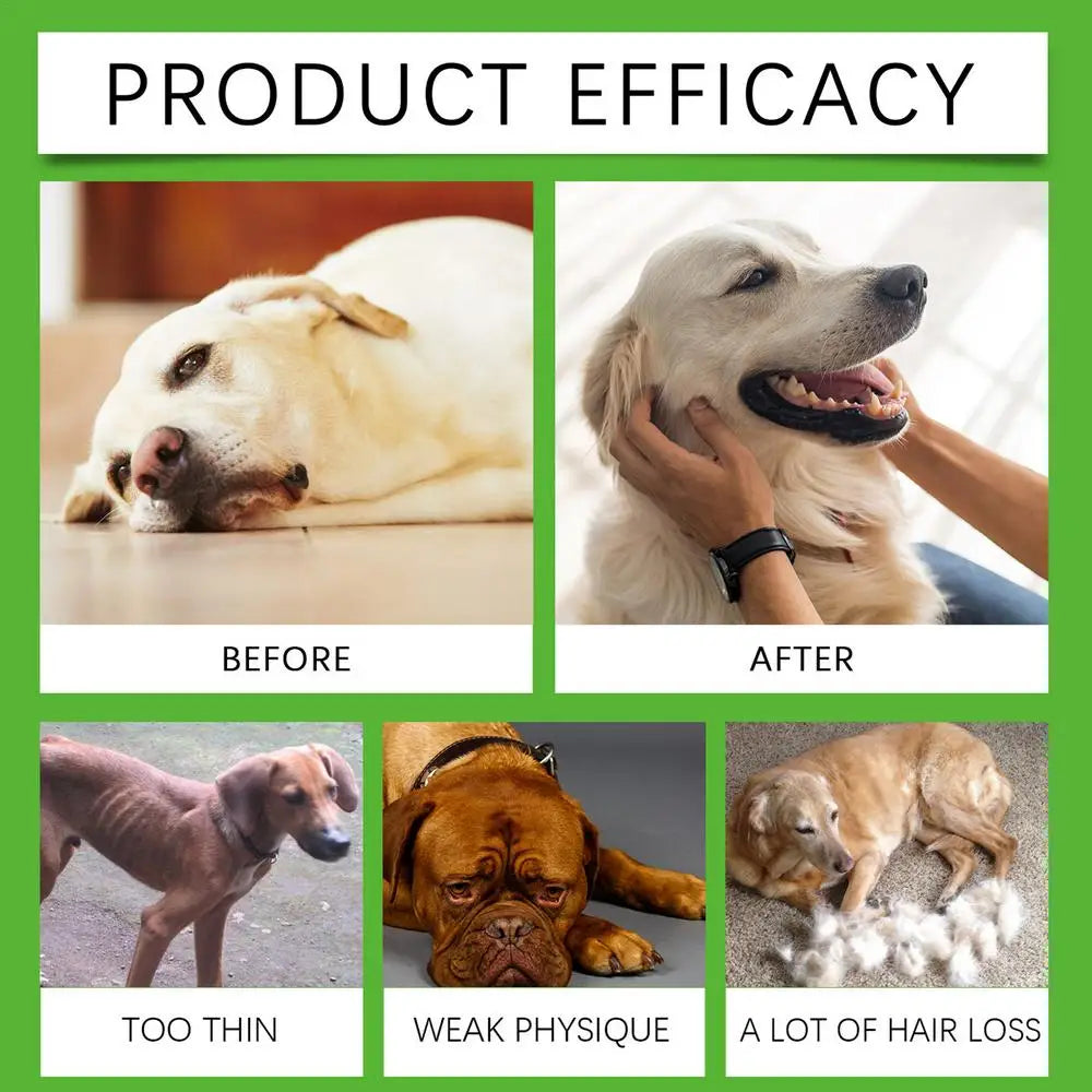60ml Dog Skin, Coat & Joint Supplement