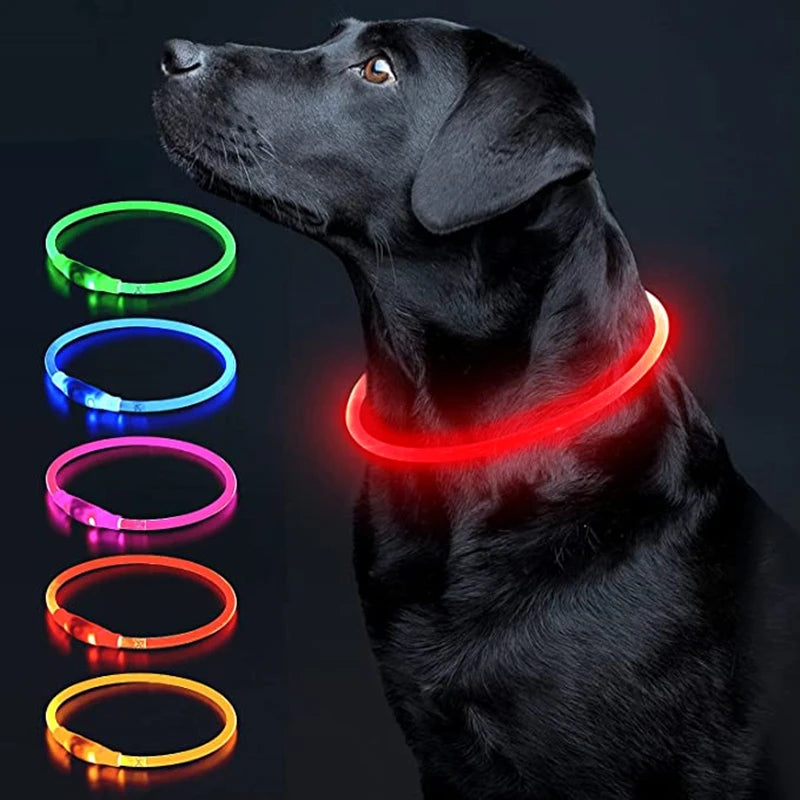 LED Rechargeable Glowing Pet Collar