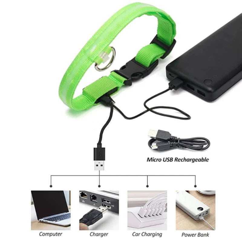USB Rechargeable LED Pet Safety Collar