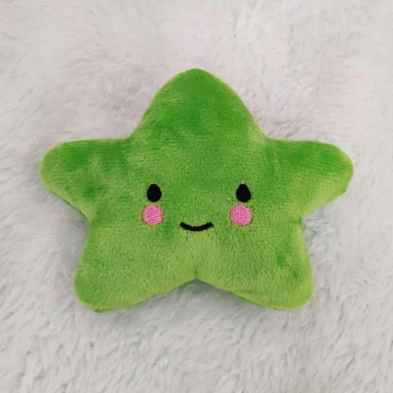 Plush Squeaky Pentagram Pet Toy