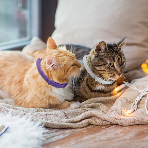 4PCS Adjustable Cat Calming Pheromone Collars