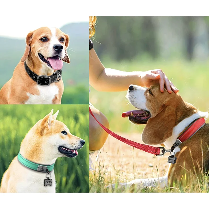 Padded Reflective Neoprene Dog Collar