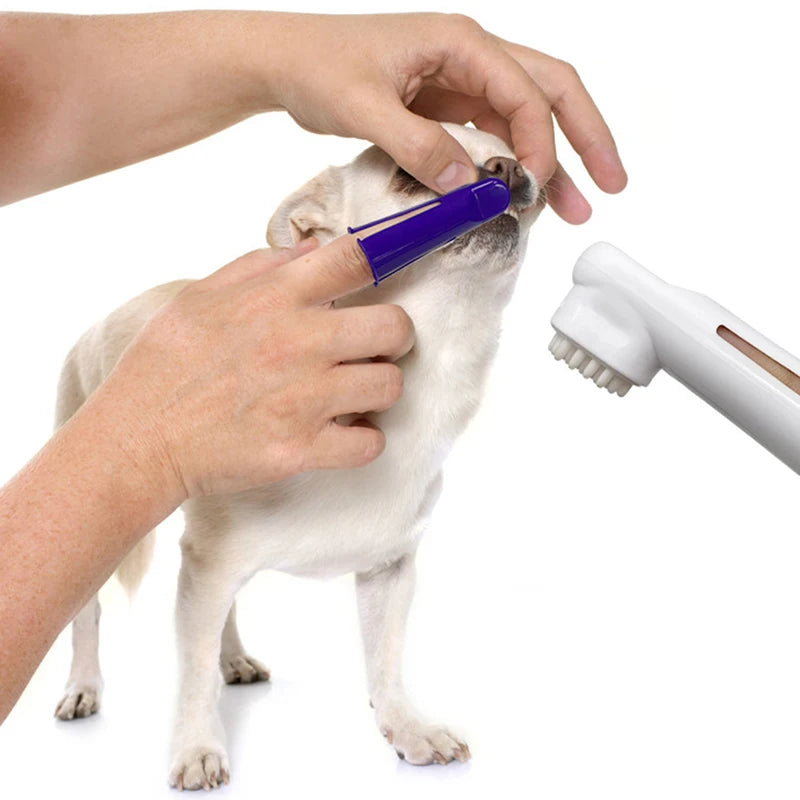 Pets Tartar Control Kit – 4-Piece Dental Care Set