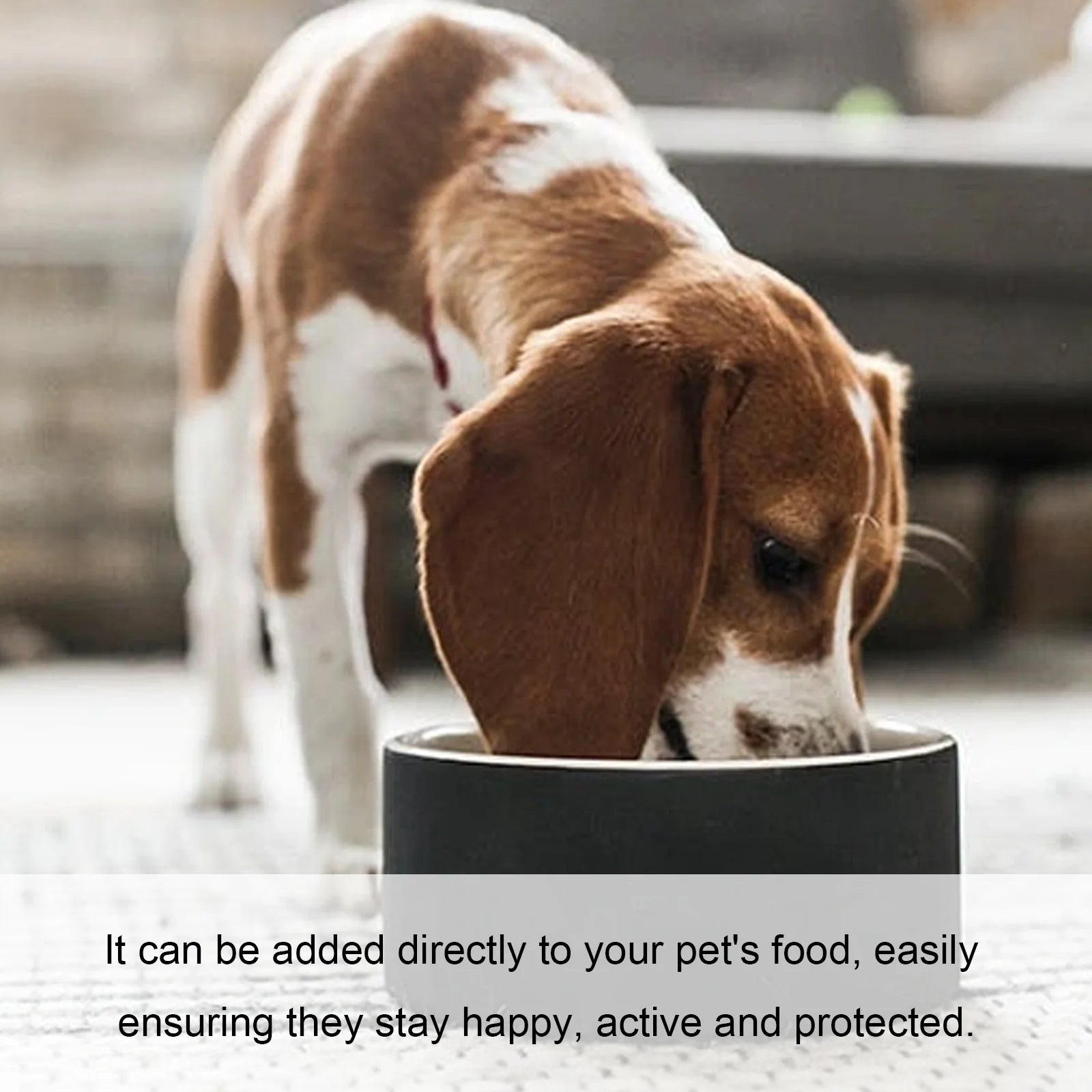 Dog Immunity & Digestive Health Drops