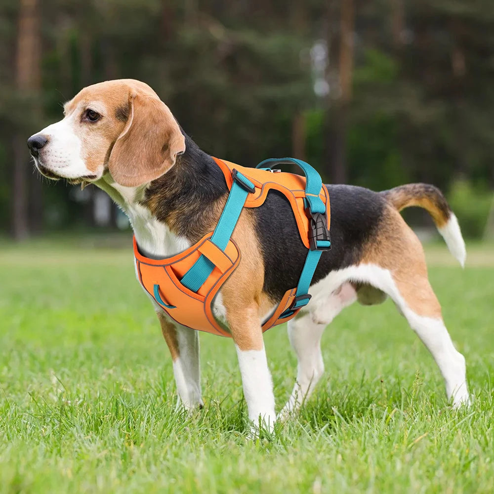 Mesh Breathable Reflective Dog Harness