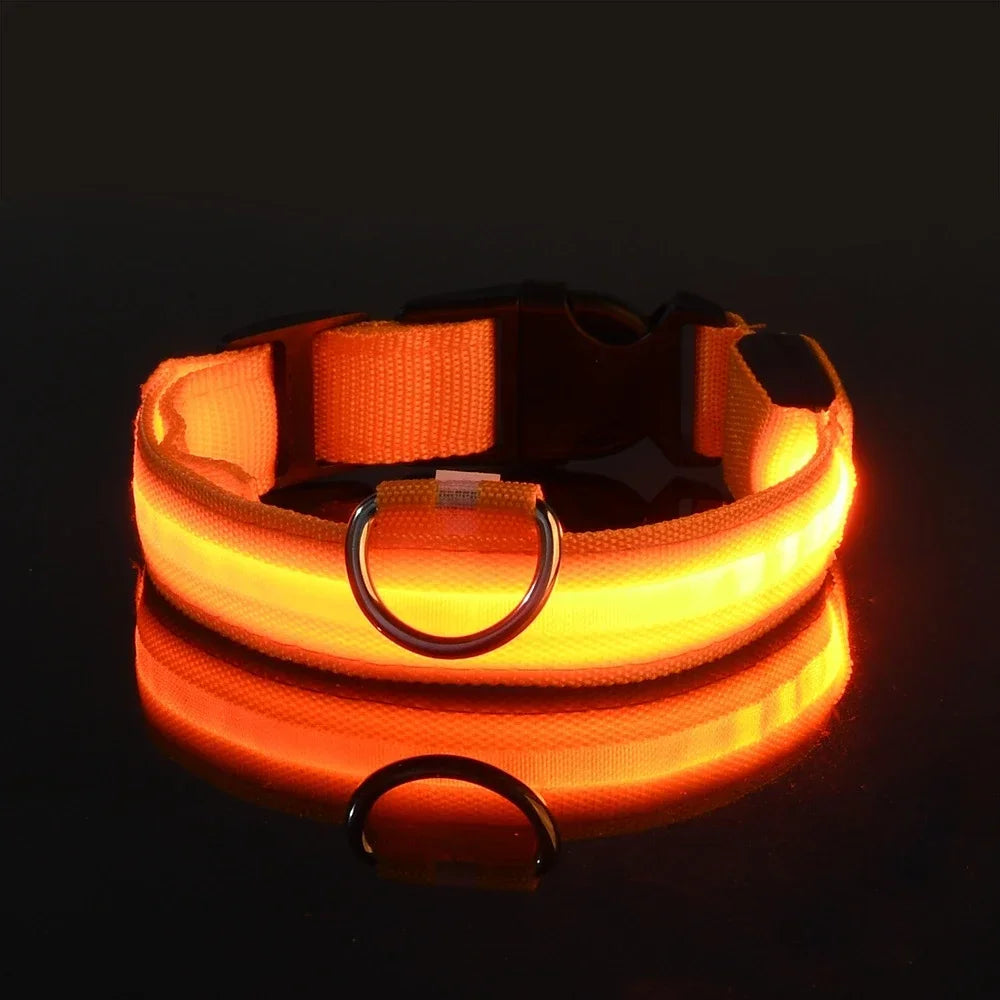 LED Nylon Dog Collar Night Safety Glow