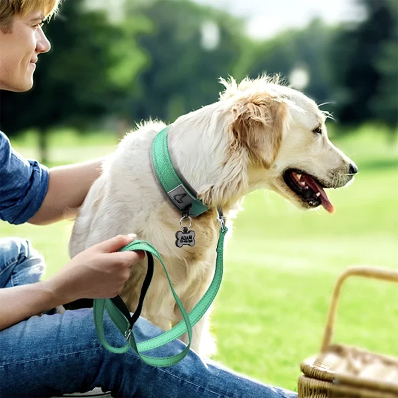 Padded Reflective Neoprene Dog Collar