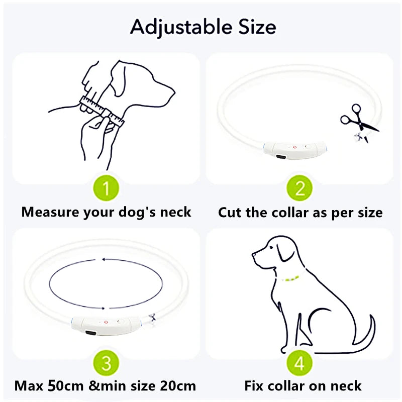 USB Rechargeable LED Pet Safety Collar