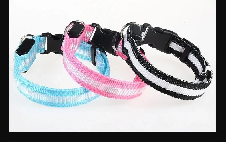 LED Nylon Dog Collar Night Safety Glow