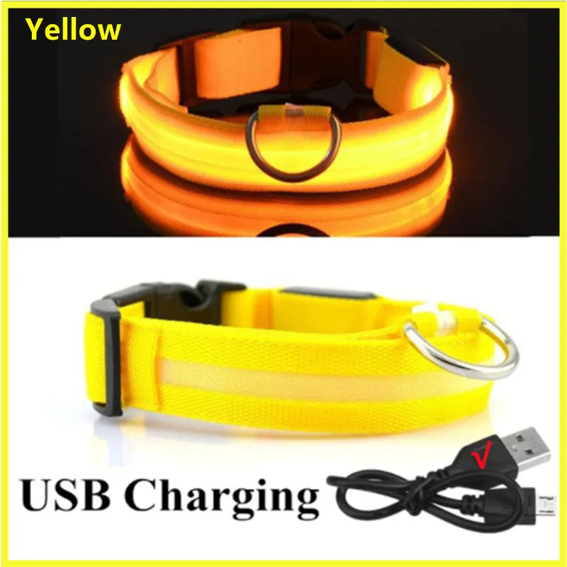 USB Rechargeable LED Pet Safety Collar