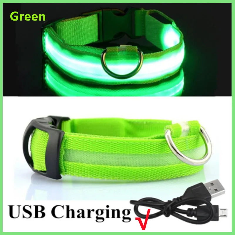 USB Rechargeable LED Pet Safety Collar