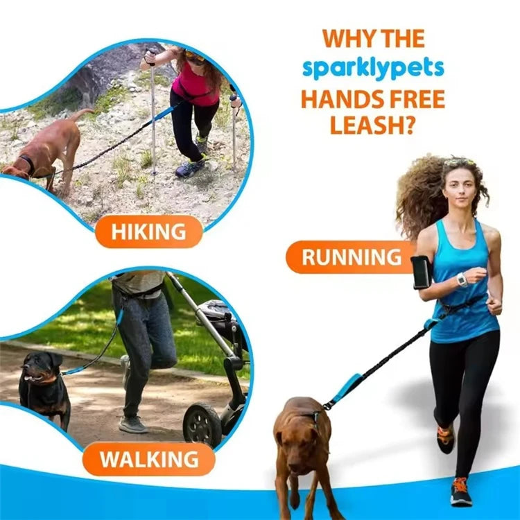 Outdoor Dual Elastic Reflective Dog Leash