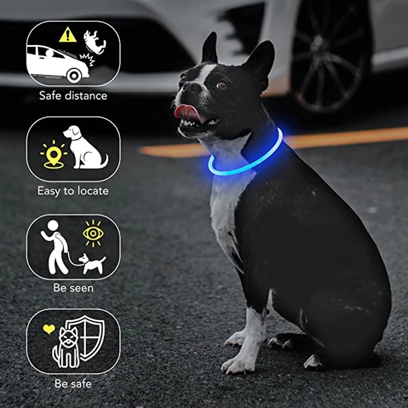 LED Rechargeable Glowing Pet Collar