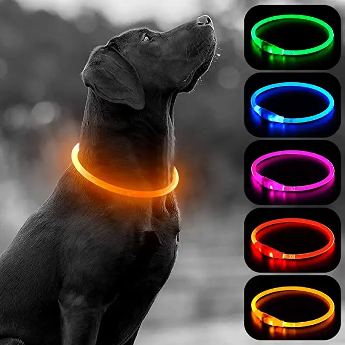 LED Rechargeable Glowing Pet Collar