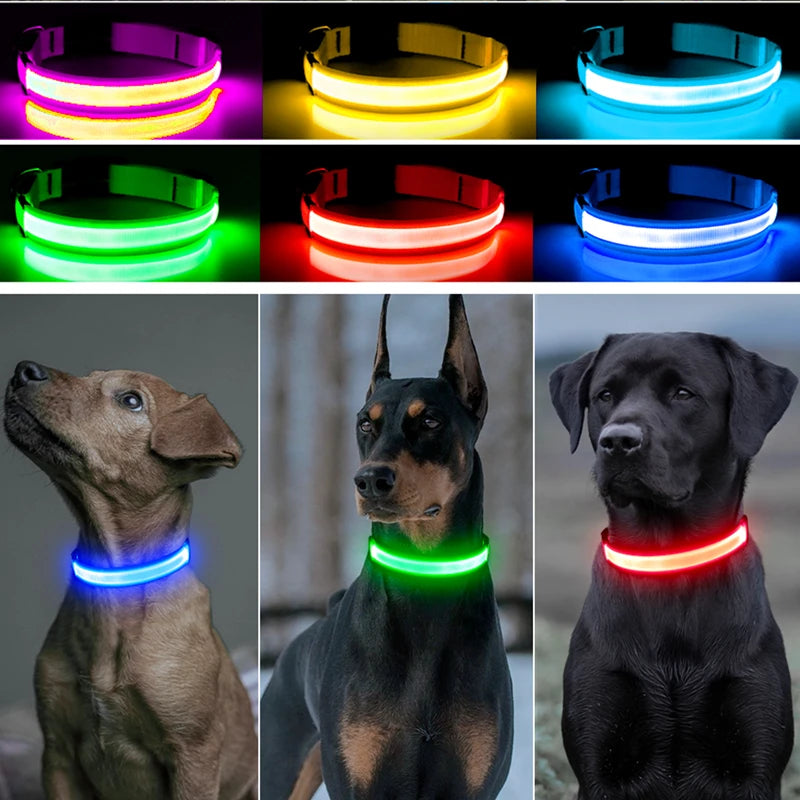 USB Rechargeable LED Pet Safety Collar