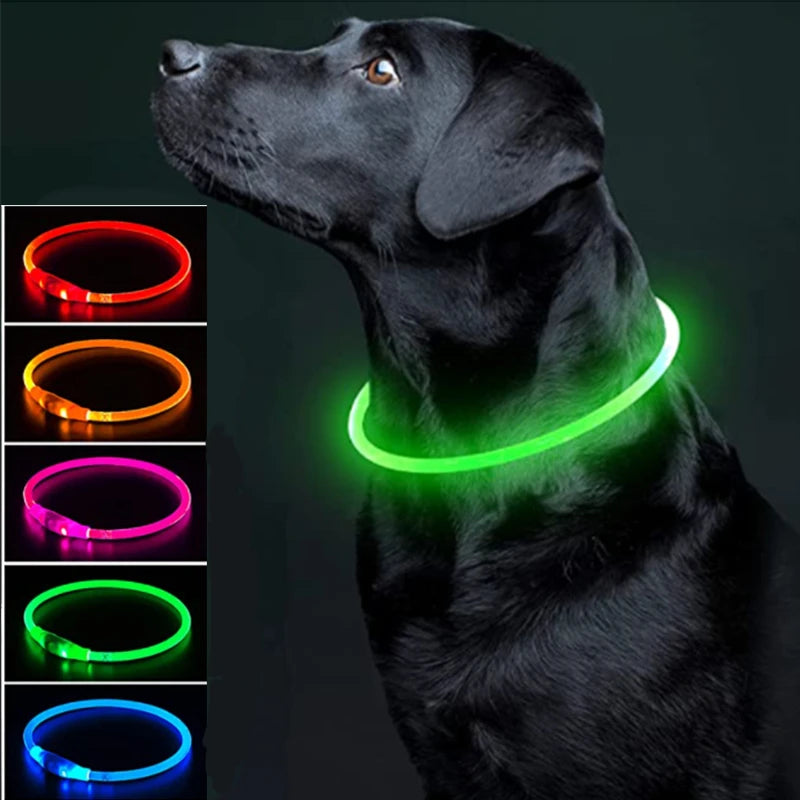 LED Rechargeable Glowing Pet Collar