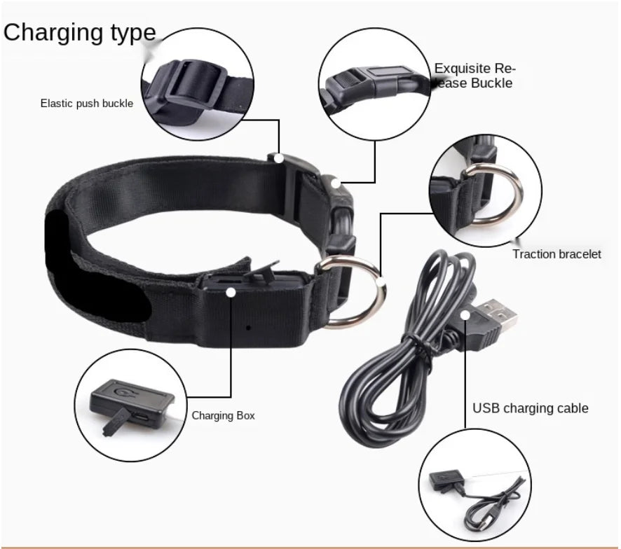 USB Rechargeable LED Pet Safety Collar
