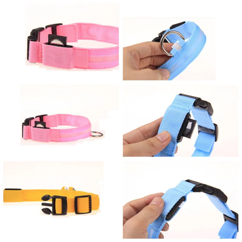 LED Nylon Dog Collar Night Safety Glow