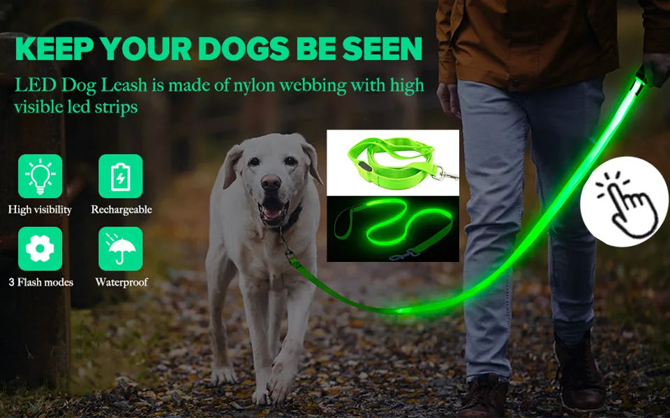 USB Rechargeable LED Pet Safety Collar